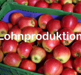 Apfelino Obsthof Schiefermüller