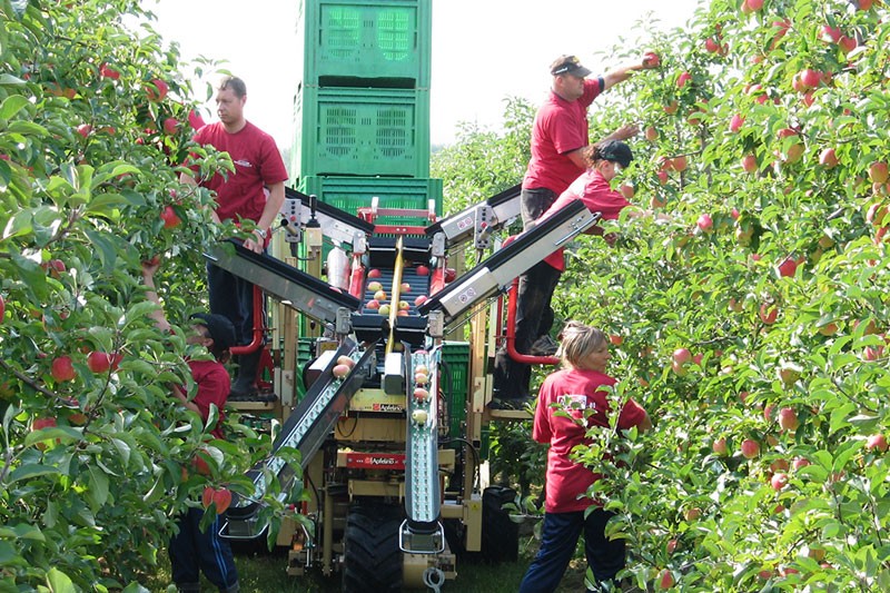 Apfelino Obsthof Schieferm&uuml;ller