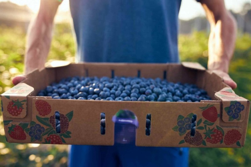 Apfelino Obsthof Schieferm&uuml;ller