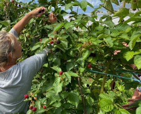 Apfelino Obsthof Schieferm&uuml;ller