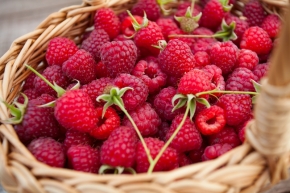 Apfelino Obsthof Schieferm&uuml;ller