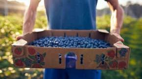 Apfelino Obsthof Schieferm&uuml;ller