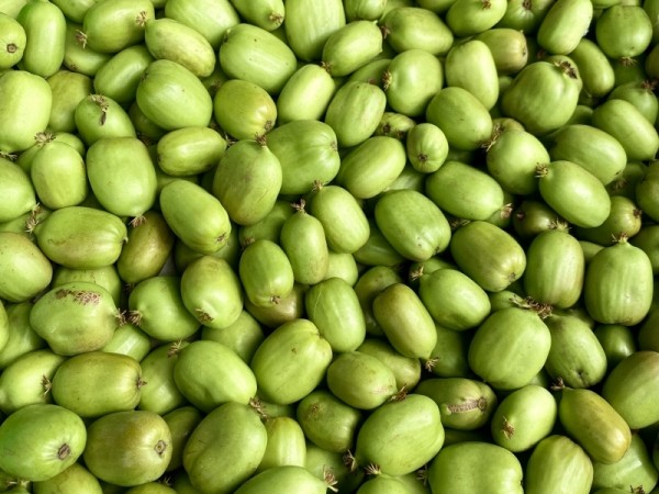 Kiwibeeren ganz, Bio, past. 1 kg / 2 kg / 4 kg