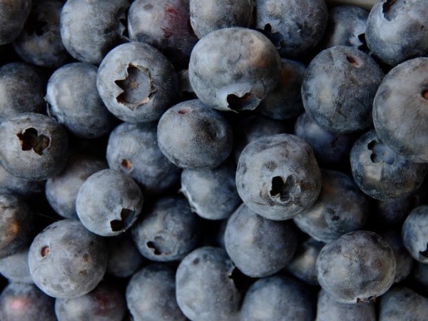 Heidelbeeren ganz, past. 1 kg / 4 kg
