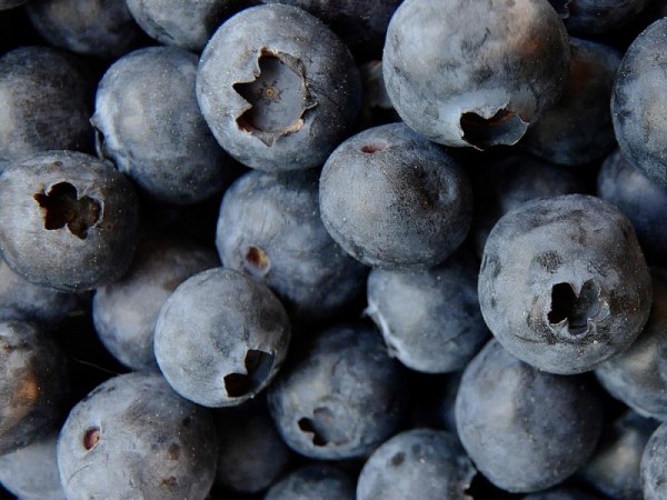 Schoko-Heidelbeeren 50 g
